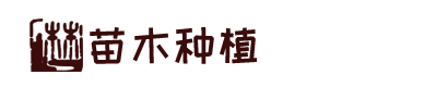 凯时K88·(国际)